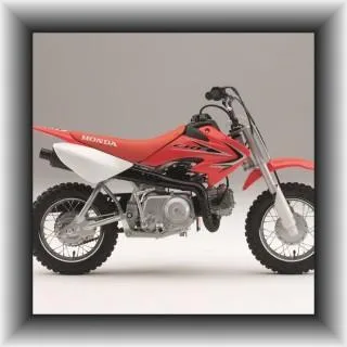 Mini Motocross kaufen CRF 50